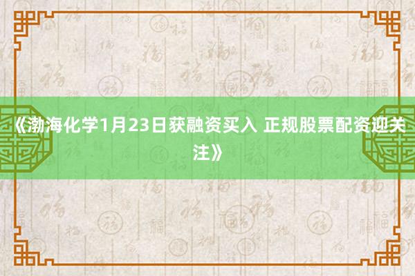 《渤海化学1月23日获融资买入 正规股票配资迎关注》