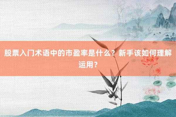股票入门术语中的市盈率是什么？新手该如何理解运用？